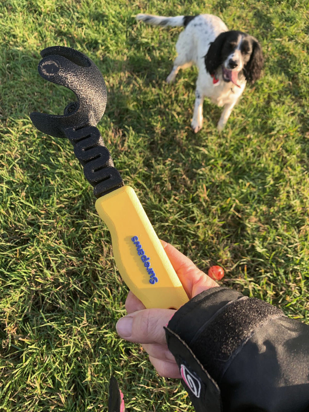 Compact Ball Thrower