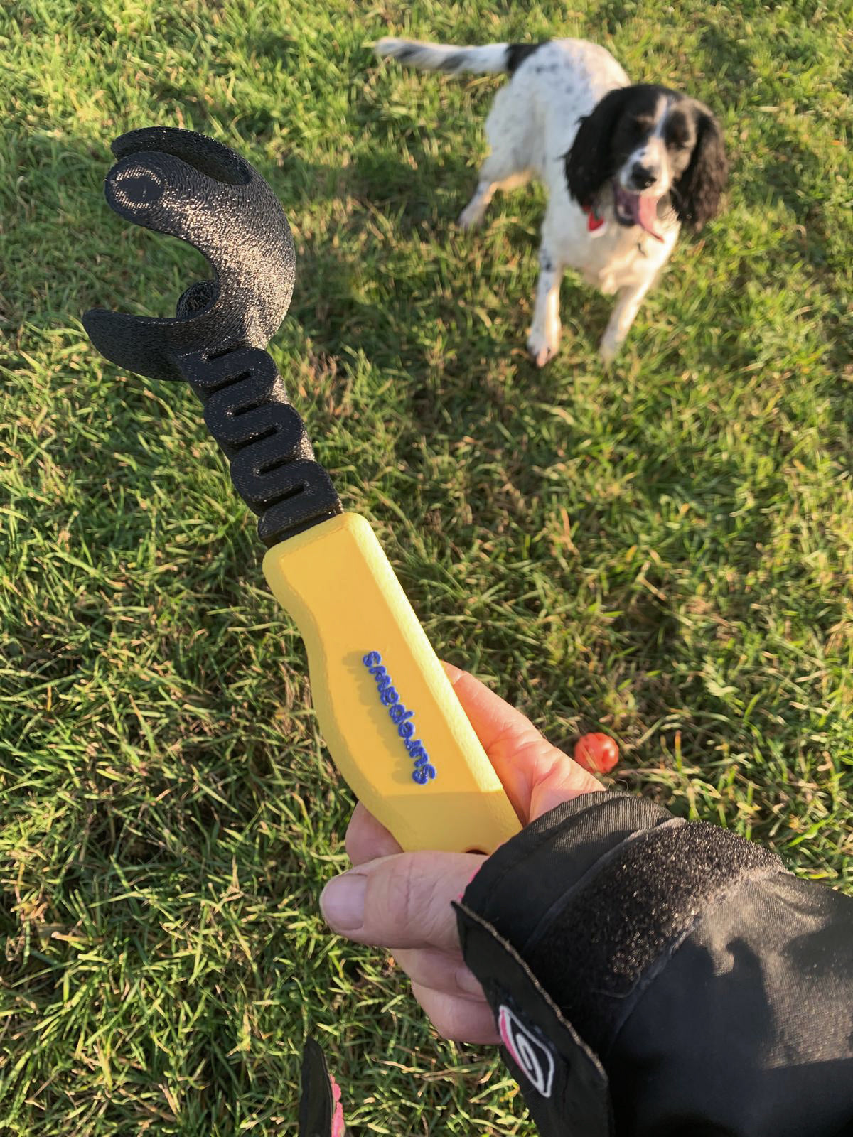 Compact Ball Thrower