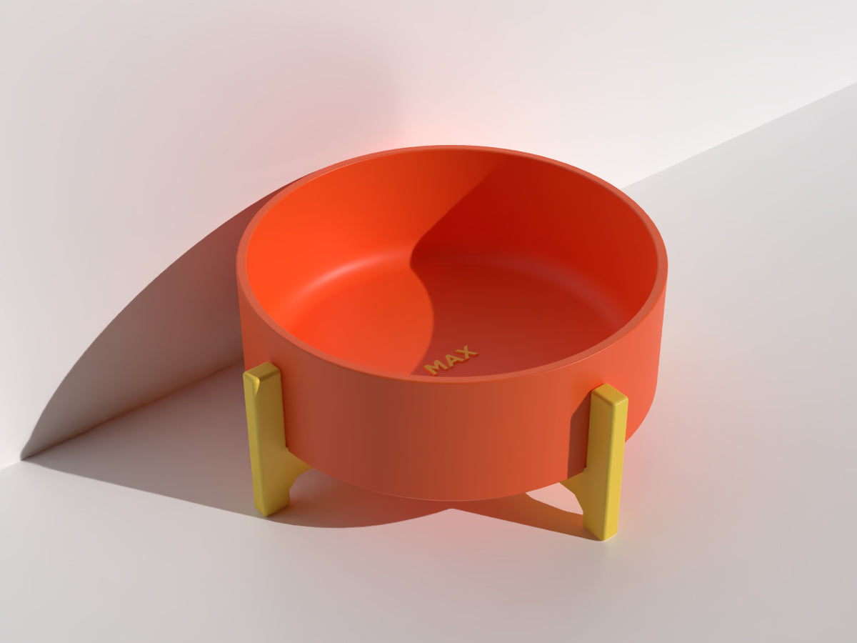 Pet Food & Water Bowl - Bold