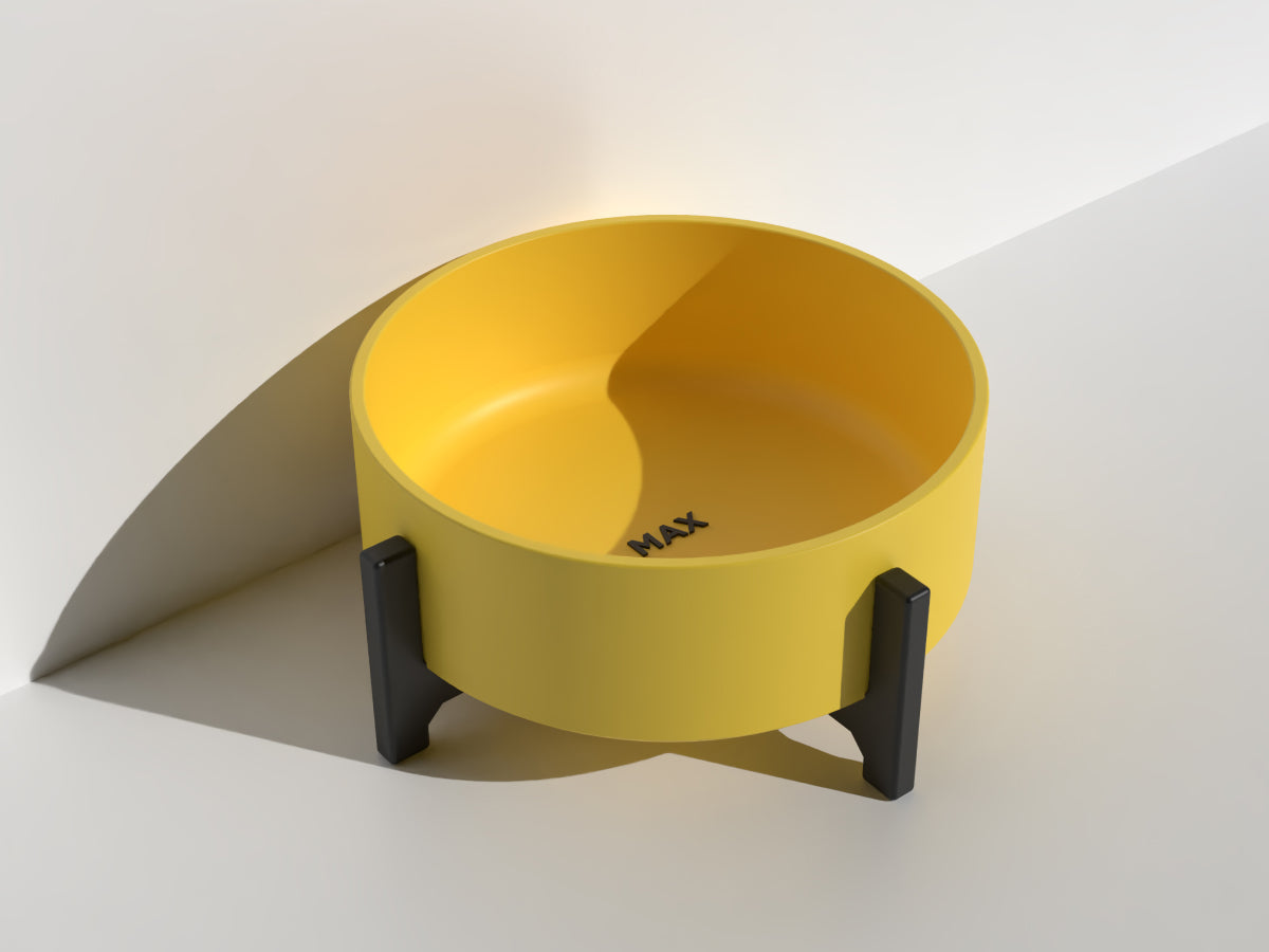 Pet Food & Water Bowl - Bold