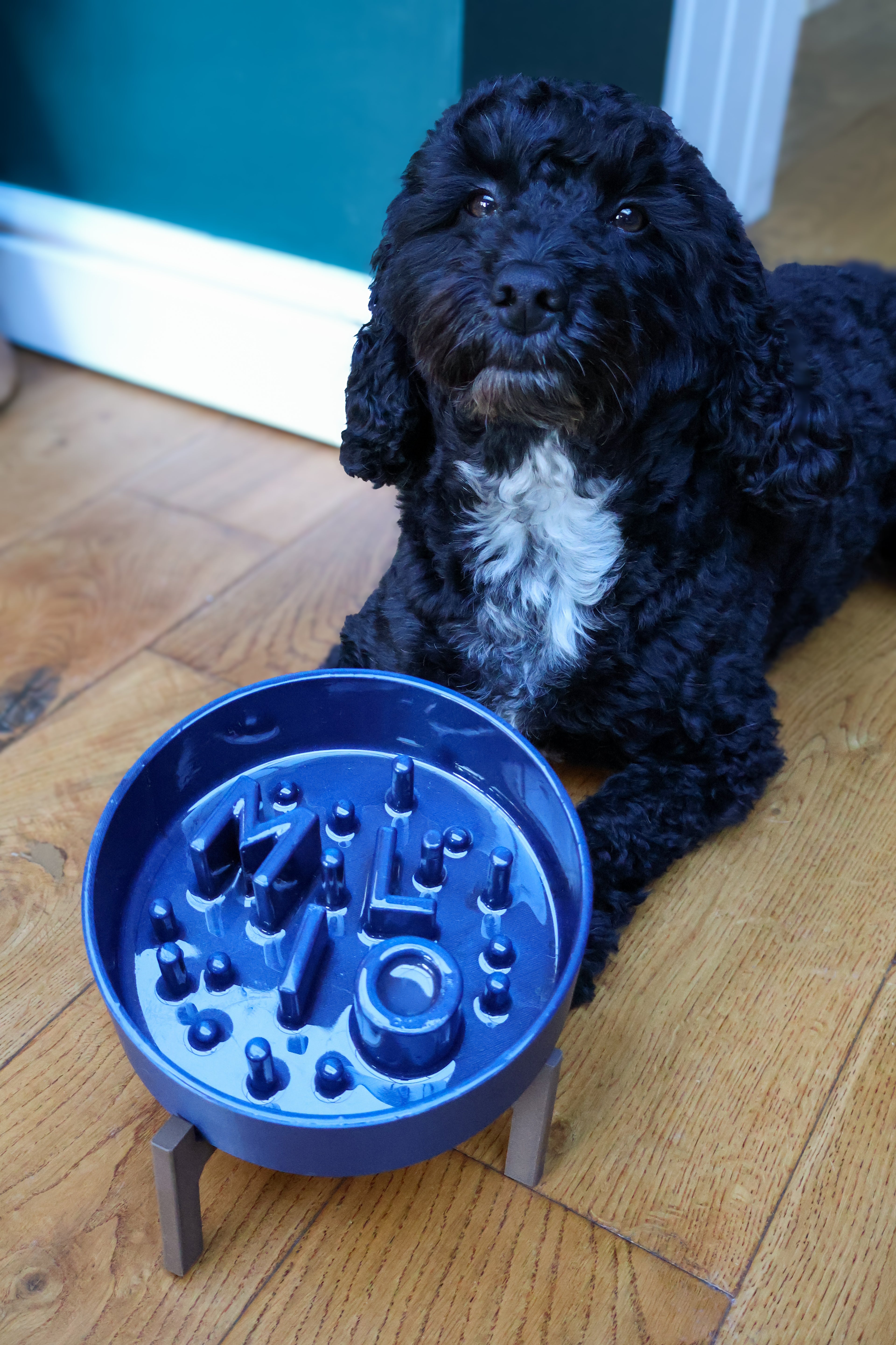 Enrichment Set - Neutral