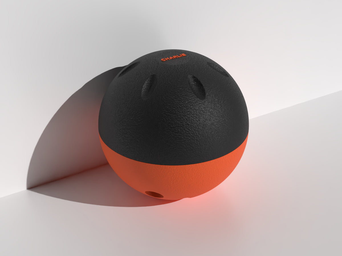 Enrichment Slow Feeder Ball