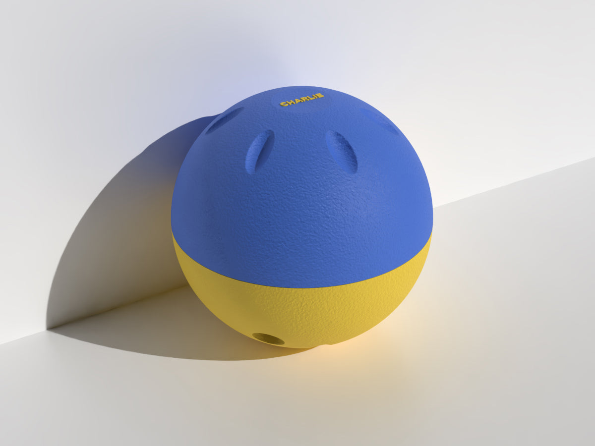 Enrichment Slow Feeder Ball