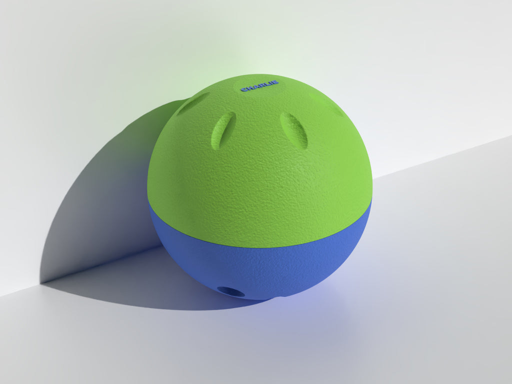 Enrichment Slow Feeder Ball