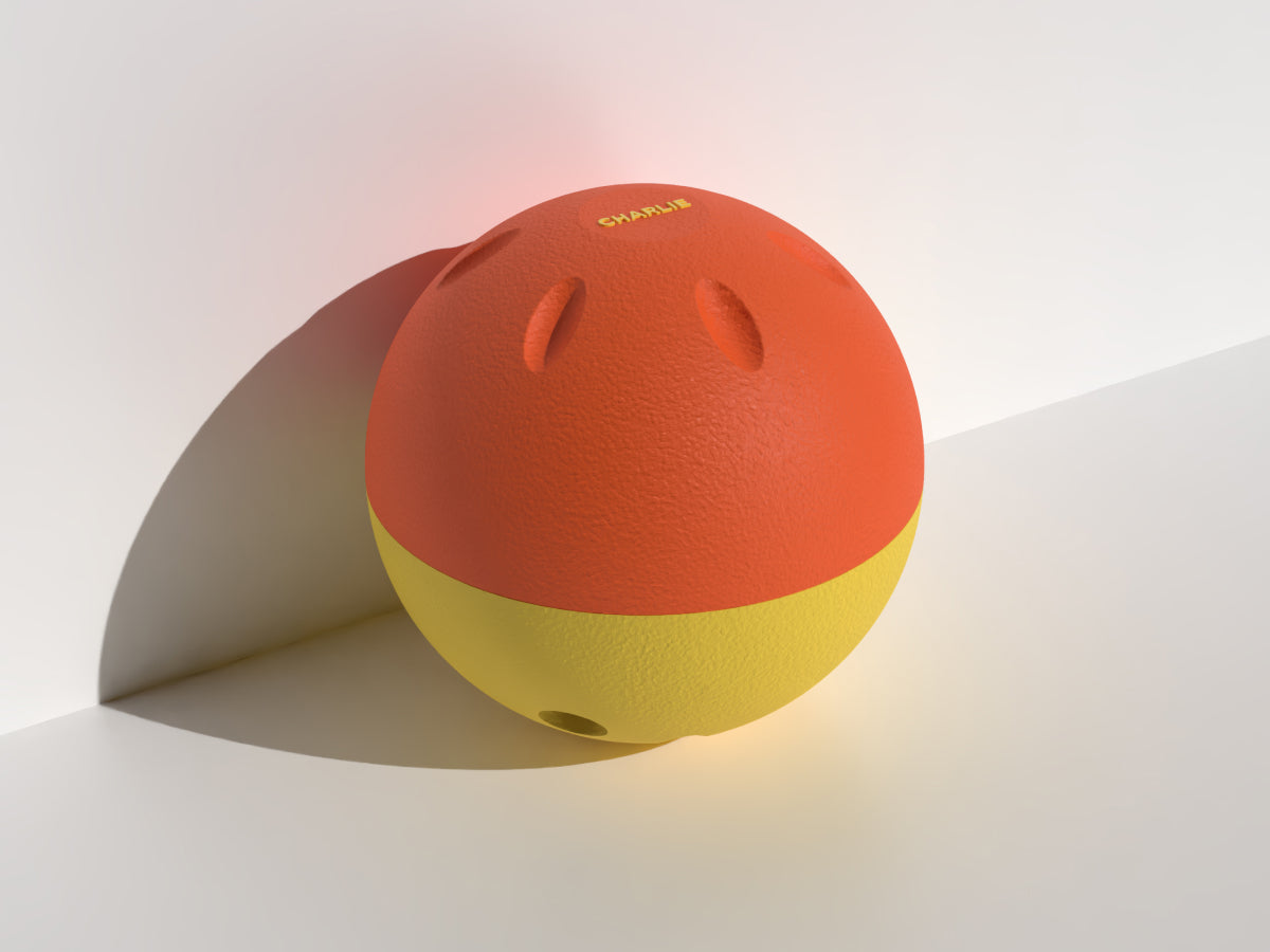 Enrichment Slow Feeder Ball