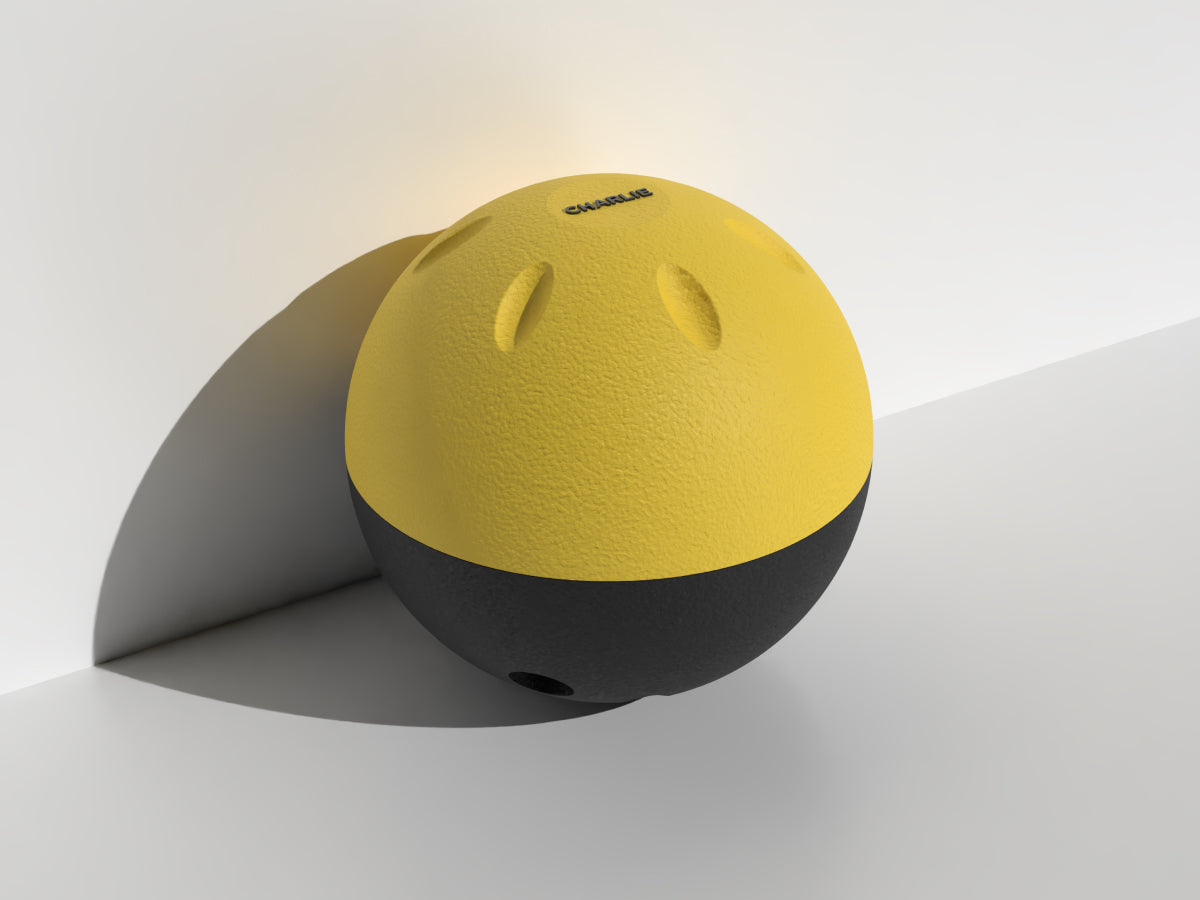 Enrichment Slow Feeder Ball